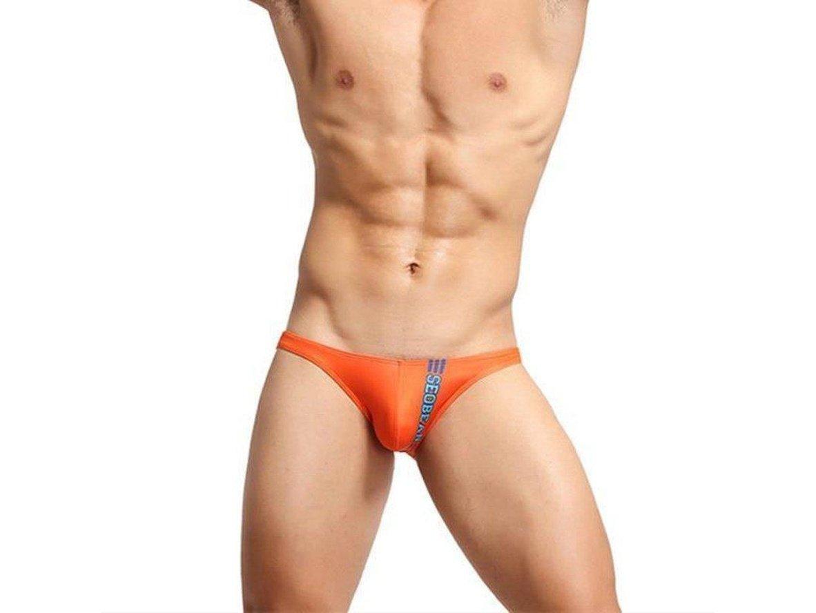 Gay Briefs | SEOBEAN Hot Low-Rise Underwear Briefs
