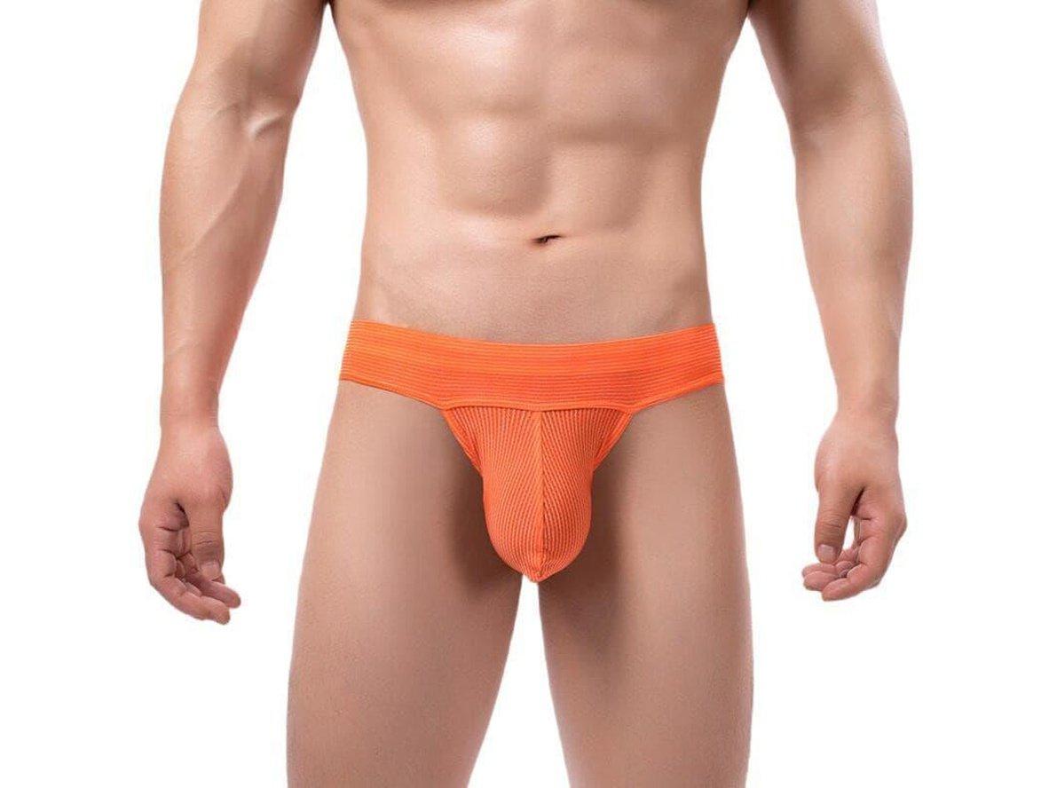 Gay Briefs | Sexy Low-Rise Pouch Underwear Briefs