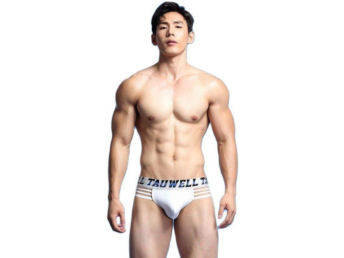 Gay Briefs | TAUWELL Underwear Briefs