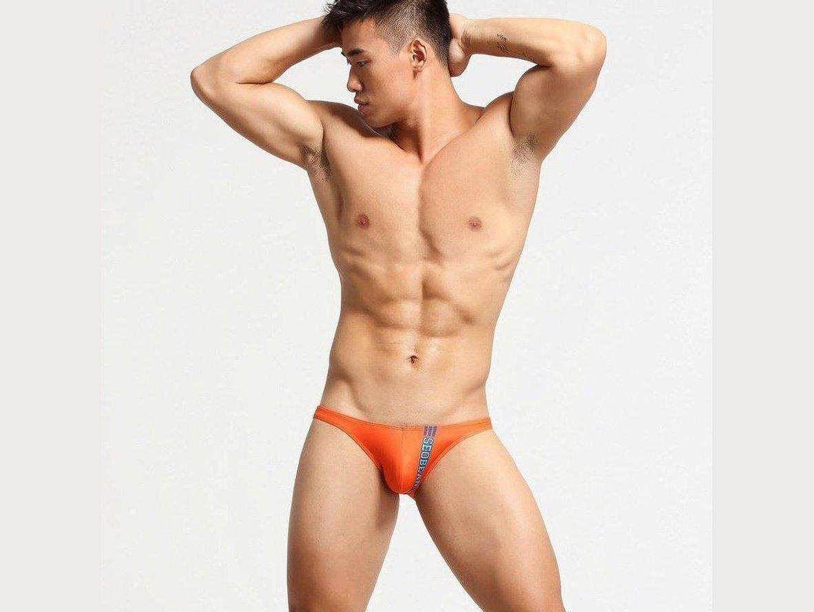 Sleek Heat – SEOBEAN Low Rise Gay Briefs