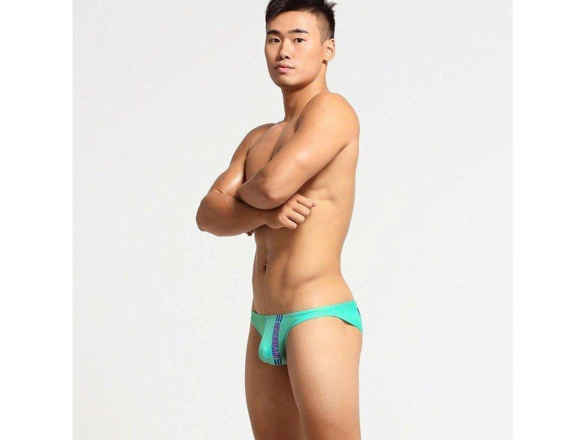 Sleek Heat – SEOBEAN Low Rise Gay Briefs