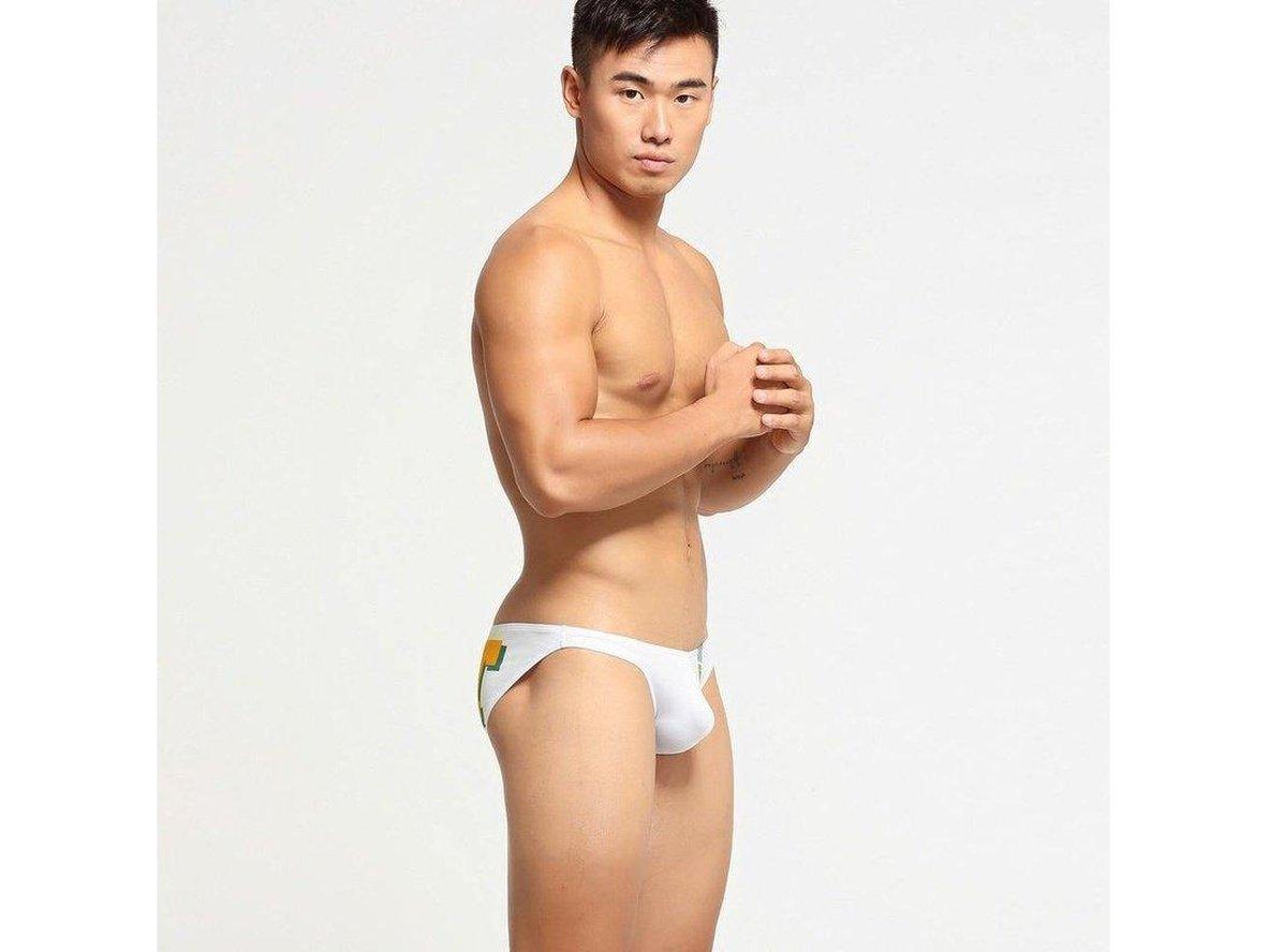 Sleek Heat – SEOBEAN Low Rise Gay Briefs